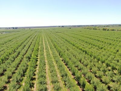 Twin Cities Rd, Herald, CA, 95638