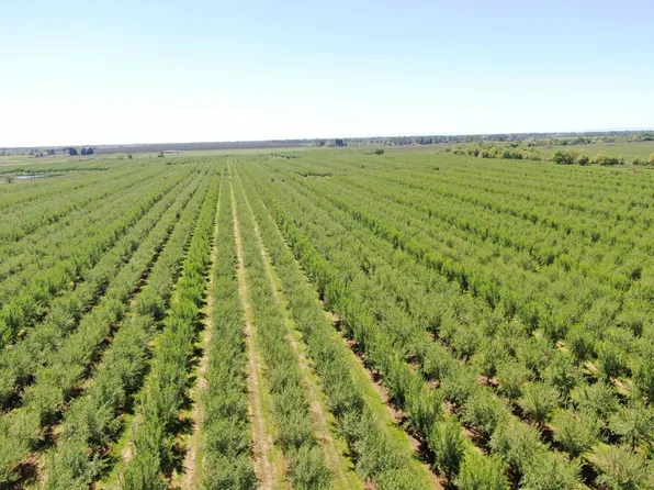 Twin Cities Rd, Herald, CA 95638