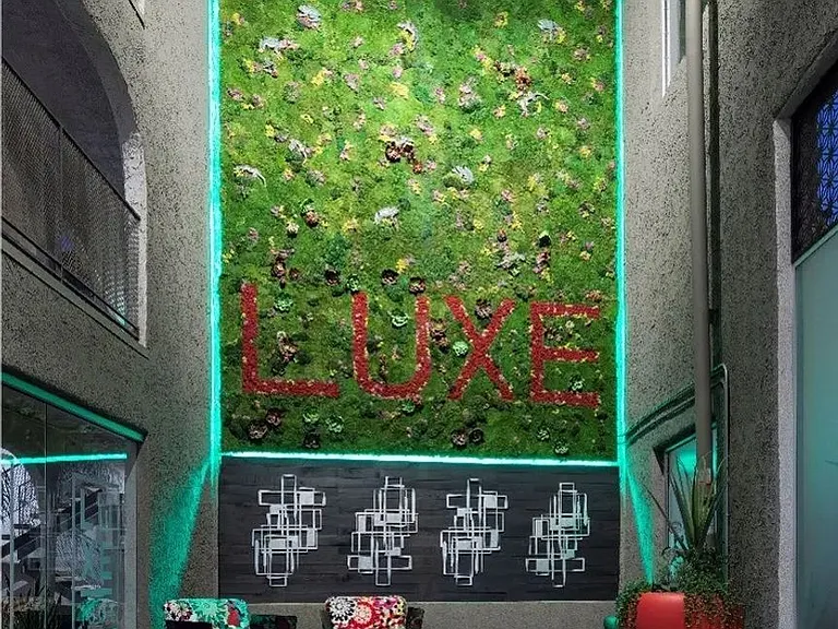 Luxe 1801 — Photo 52