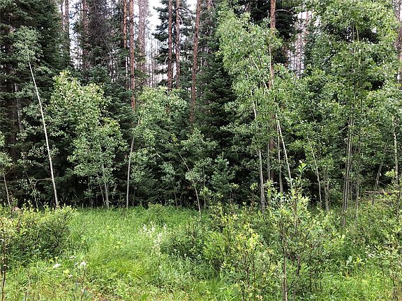 5th image of TBD Springboard Trail