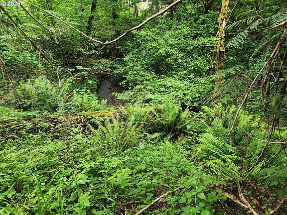 2nd image of 0 Louis Creek Rd