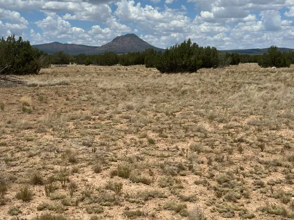118D Prairie Dog Road #118D, Ash Fork, AZ 86320