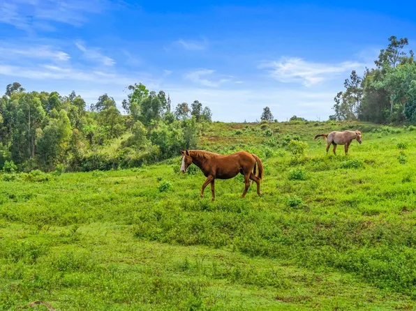 5561-J Olohena Rd Lot 127, Kapaa, HI 96746