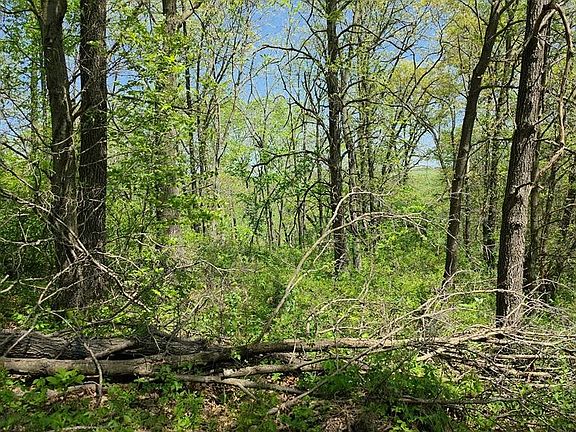 3rd image of 0 Private Rd