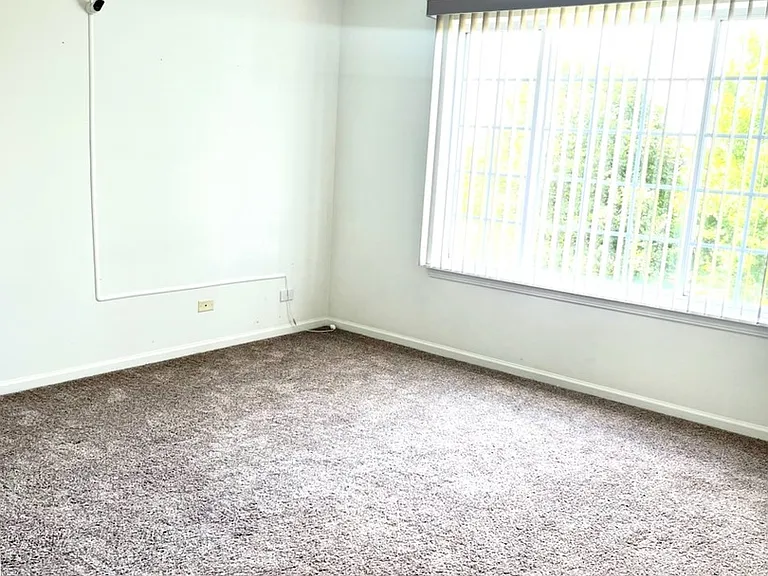4323 Savoy Ln #4323 — Photo 10