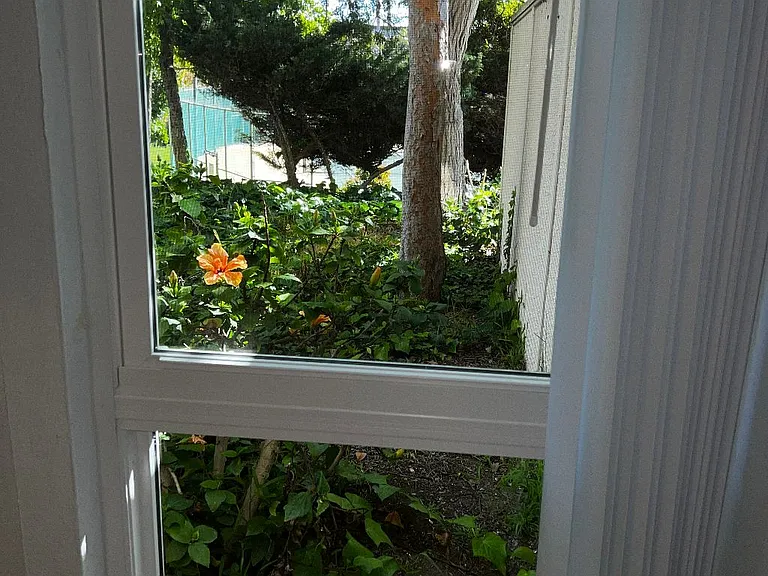 View from Main bedroom window