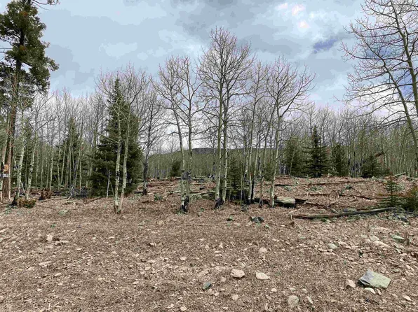 El Camino Real, Angel Fire, NM 87710