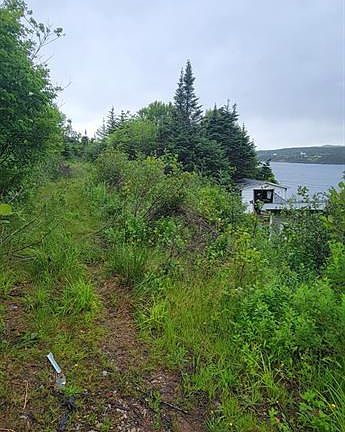 5th image of 328 Main Road