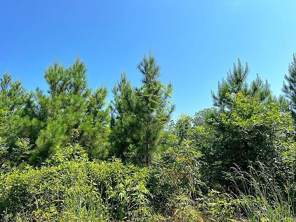 5th image of 11 Carters Ferry Rd E