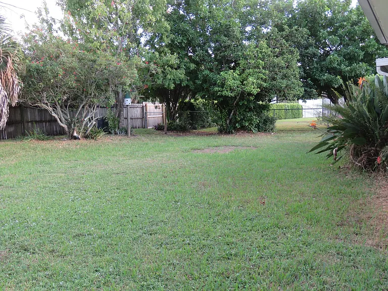 Backyard