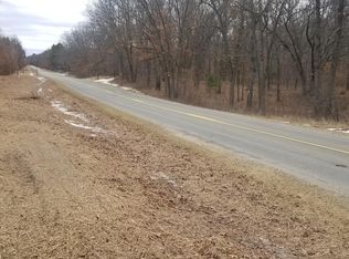 0 S Irons Rd, Irons, MI 49644