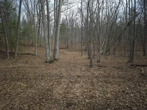 Hodges Ln Lot Wp016, Winchester, VA 22603