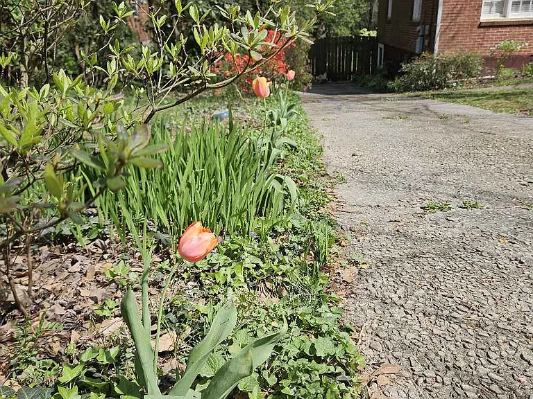 Springtime, 830 Derrydown Way
