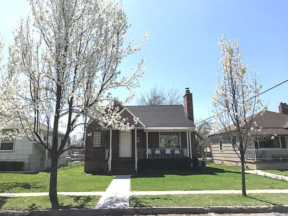Blossoming trees