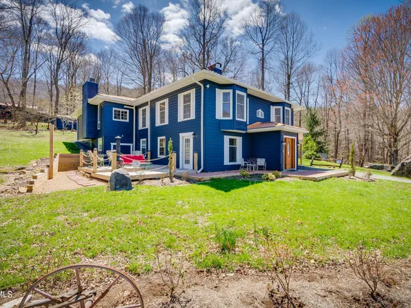 606 Heaton Creek Rd, Roan Mountain, TN 37687