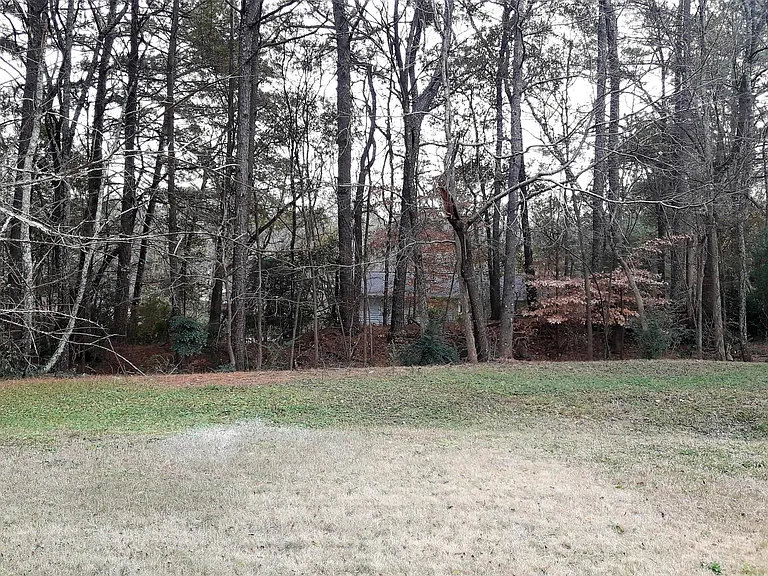 456 Suwanee East Dr — Photo 12