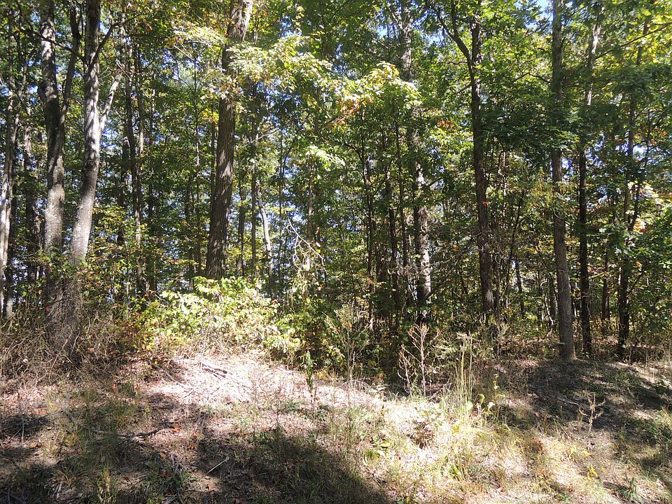 2nd image of George Young Rd
