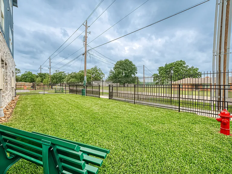 dog park 2