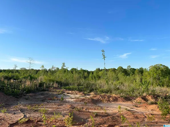County Road 639, Roanoke, AL 36274