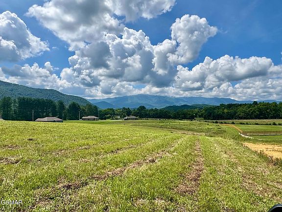 2nd image of 5418 Cocke County Line Rd Lot 5