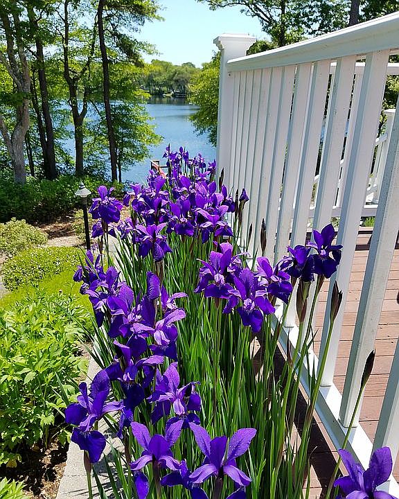 1st image of 250 Long Pond Dr