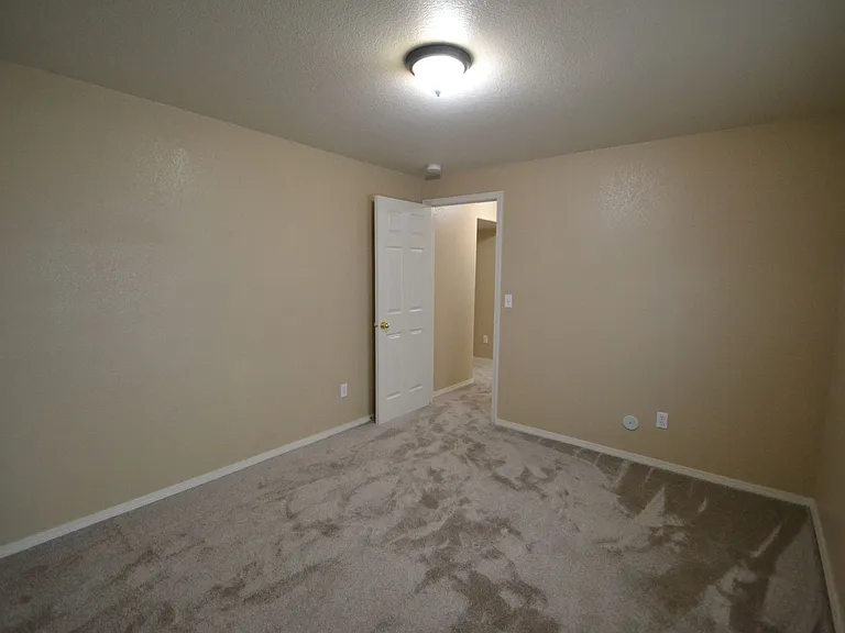 3885 Cherry Plum Dr — Photo 24