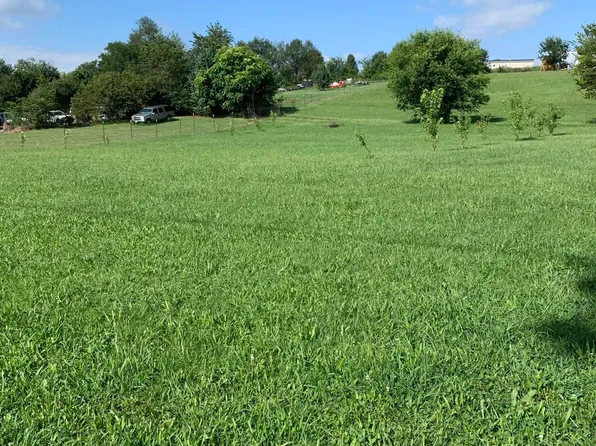 Chuckey Pike, Chuckey, TN 37641