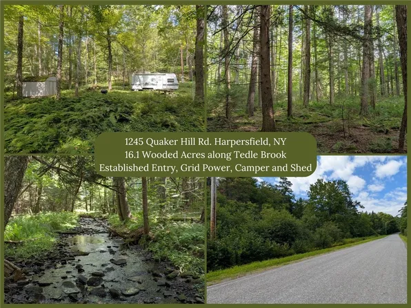 1245 Quaker Hill Rd #14, Jefferson, NY 12093