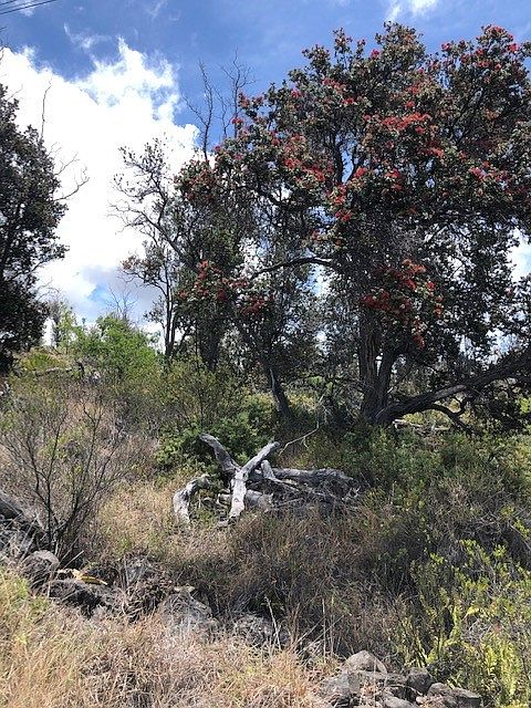 1st image of 92-8268 Trade Wind Blvd Lot 23