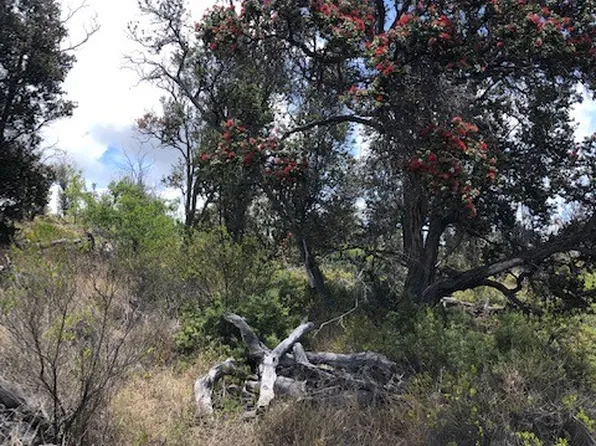 92-8268 Trade Wind Blvd Lot 23, Captain Cook, HI 96704