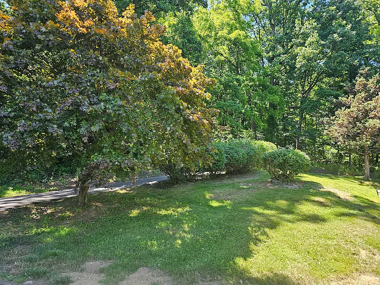 Sagle Rd — Photo 120