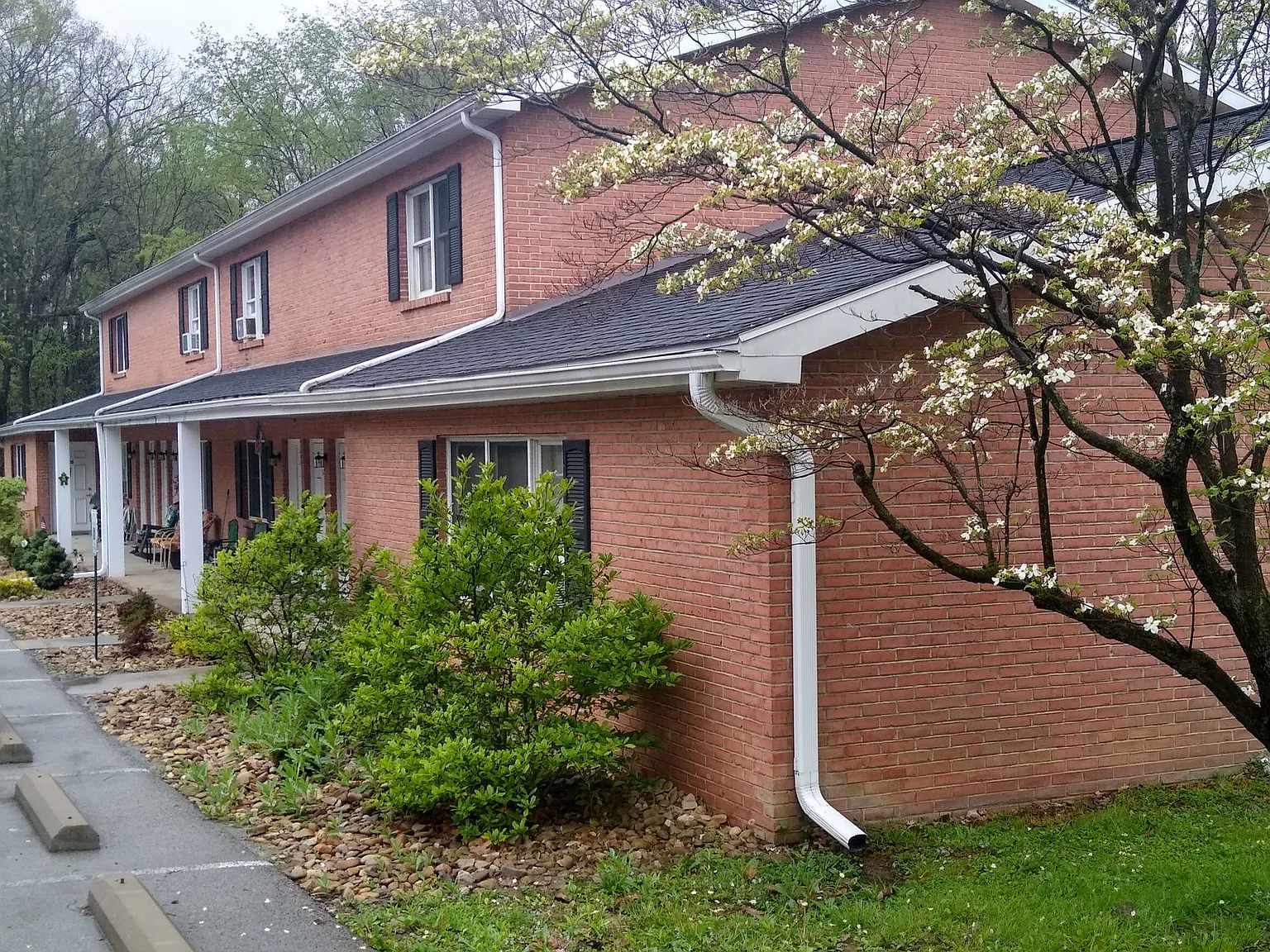 Tanglewood Apartments — Photo 1