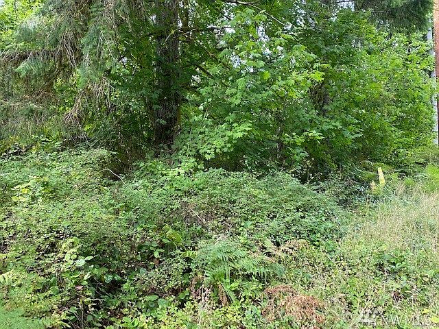 2nd image of 380 W Satsop Maple Gln