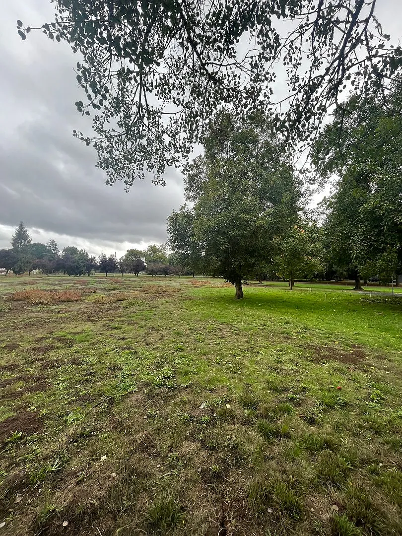 1625 River Loop 1 — Photo 3