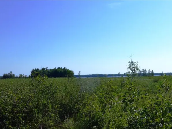 0 W Brandt Rd, Hayward, WI 54843