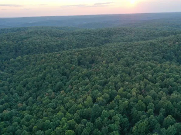 Tdb Upper Janes Creek Raod, Ravenden, AR 72459