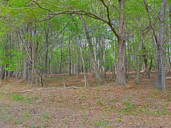 0 Ridgelake Cir, Saint Matthews, SC 29135