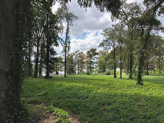 4th image of Oak Point Dr