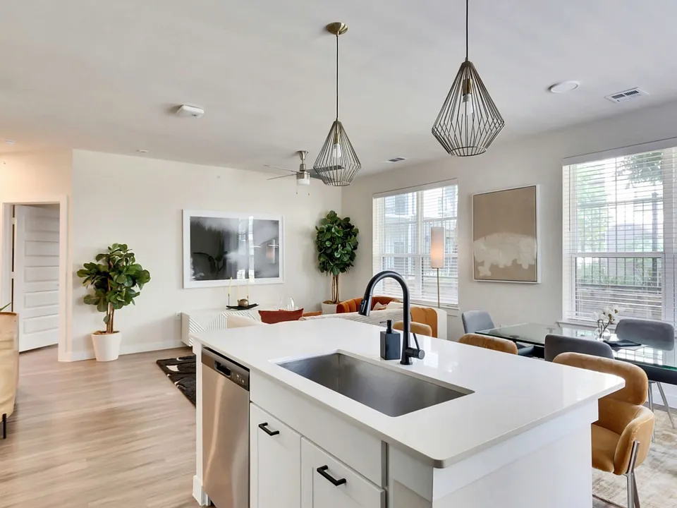 Cameron Loop