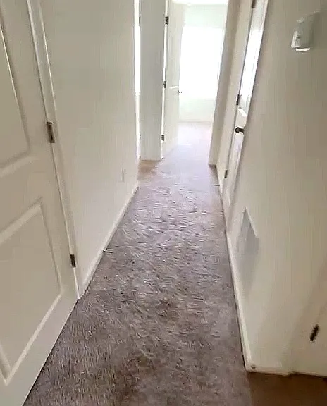 3540 Connor Ct — Photo 13