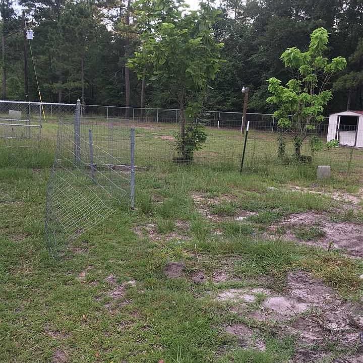 2nd image of 1291 Red Bluff Ct