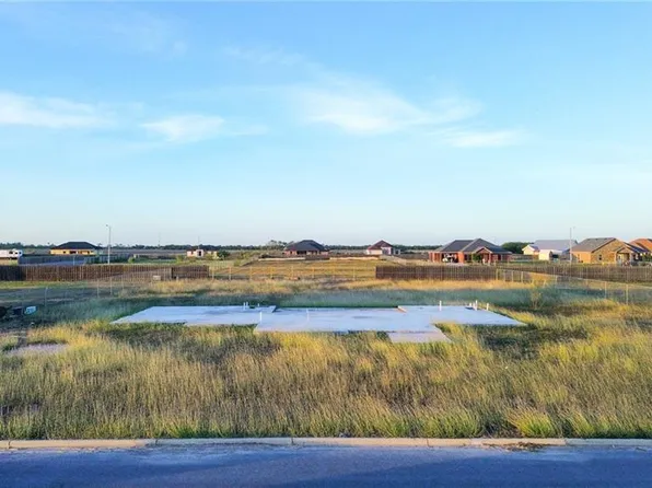 2507 Ceti Dr, Mercedes, TX 78570