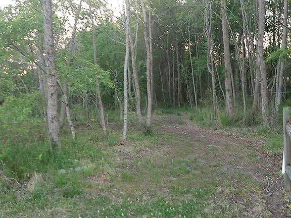 Trail Going Through Woods