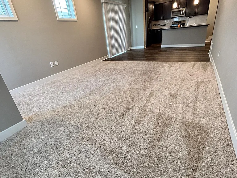 7219 Elmo Ct — Photo 11