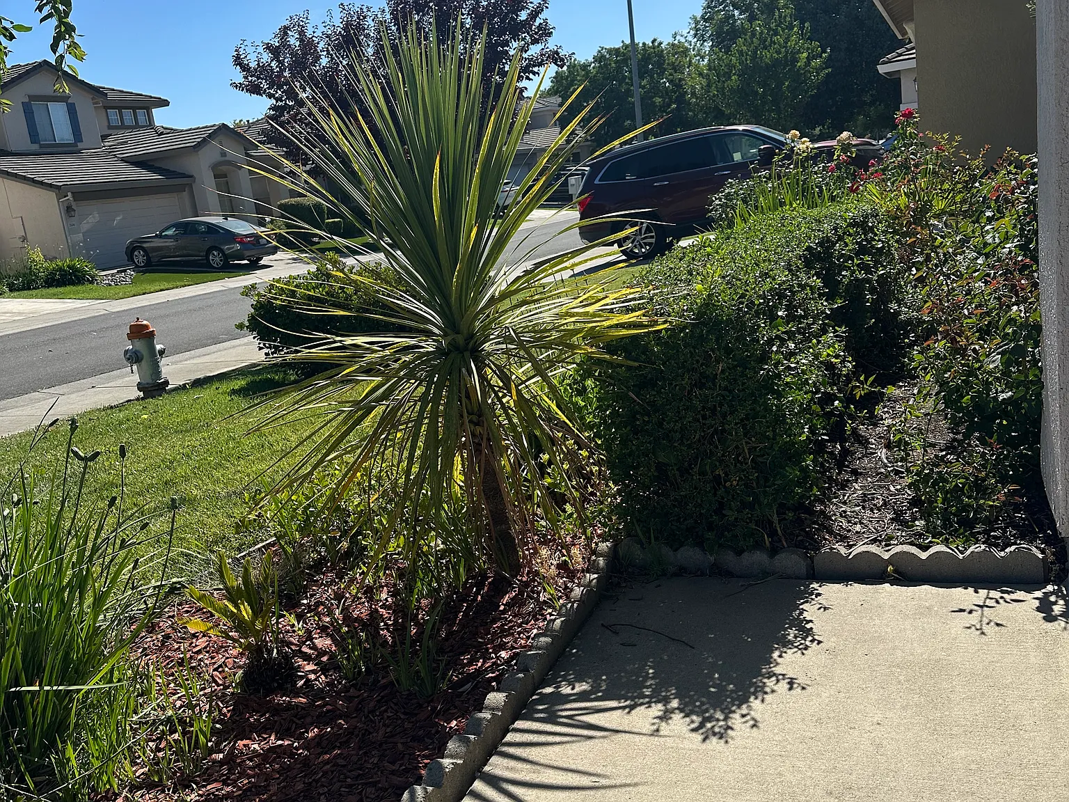 2 bed, 2400 sqft, $1,300 — Photo 2