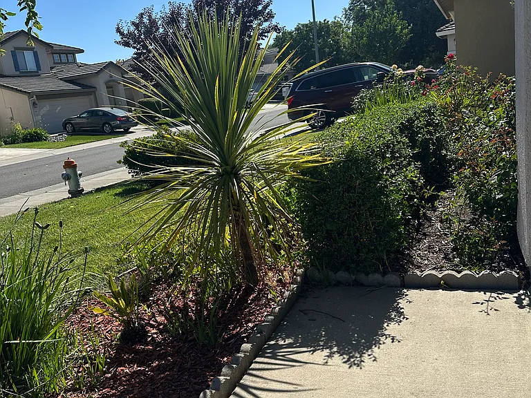 2123 Raymar Ct — Photo 2