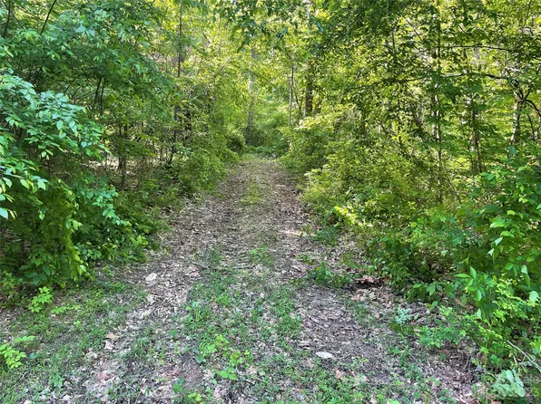 0 Green River Cove Rd, Saluda, NC 28773