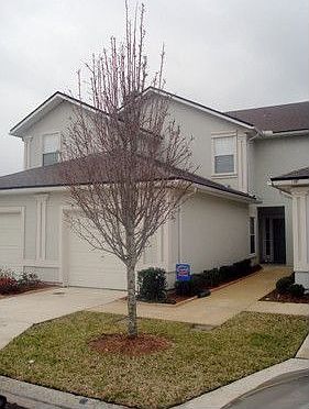 1st image of 1109 Southern Mill Ct