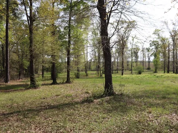 2154 J Saunders Rd, Dothan, AL 36305