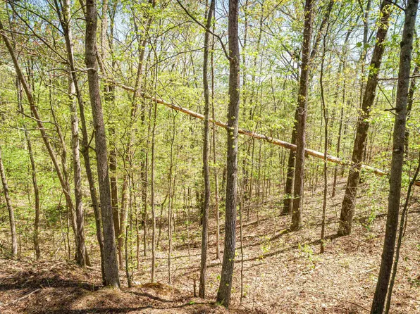 LOT 400 Fawn Ridge Rd, Parsons, TN 38363
